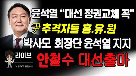 尹 추격자들 洪劉元박사모 윤석열 지지선언 안철수 내일 대선출마 Youtube