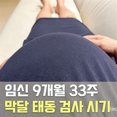 임산부 막달 태동 검사 비용 임신 9개월 33주 네이버 블로그