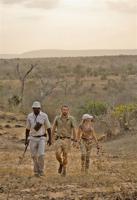 Nature Bush Walks And Guided Walking Safaris In Nyerere National Park