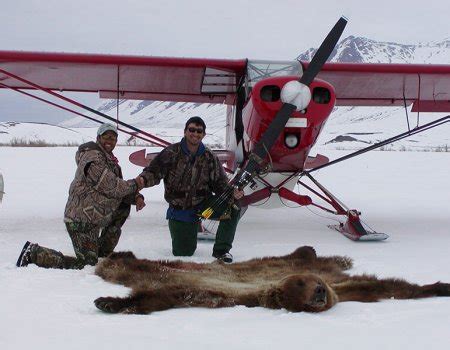 Alaska Brown/Grizzly Bear Hunting Guide