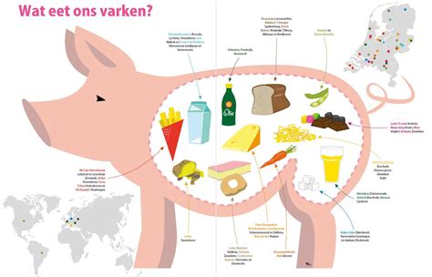 Caroline Van Der Plas On Twitter Een Ode Aan Het Varken Op