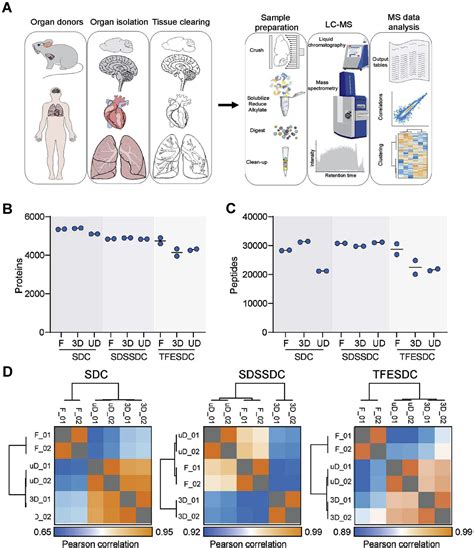 Spatial Proteomics In Three Dimensional Intact Specimens Cell