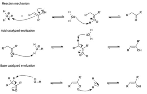 Biochem Exam Flashcards Quizlet