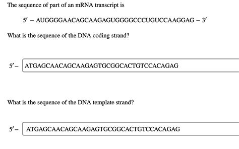 Solved The Sequence Of Part Of An MRNA Transcript Is 5 Chegg