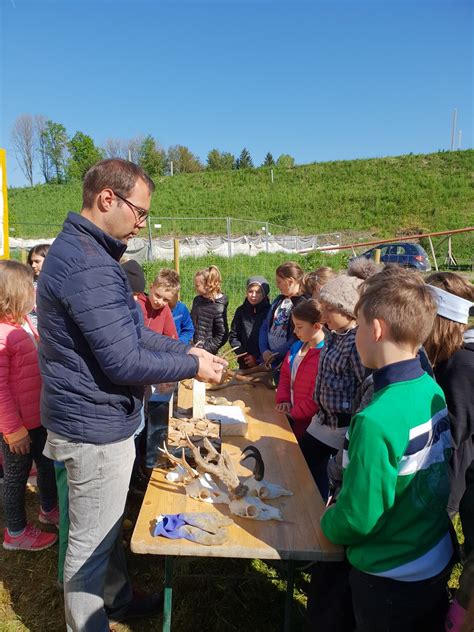 Bepflanzungsaktion Vs St Kanzian Am Klopeiner See