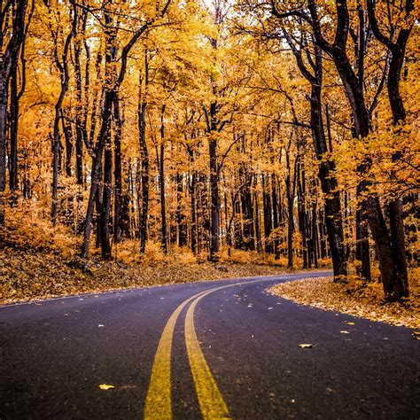 Shenandoah National Park Wallpaper 4k Virginia United States