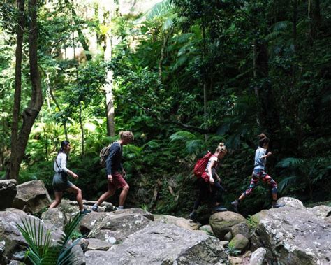 5 Breathtaking Walking Trails around Lake Macquarie | KAYAK