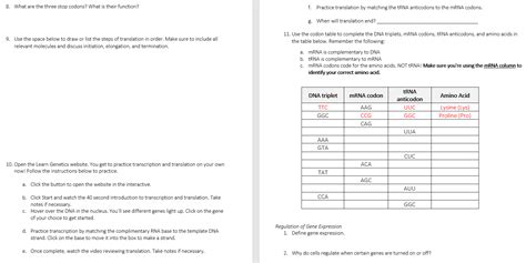 Solved 8. What are the three stop codons? What is their | Chegg.com