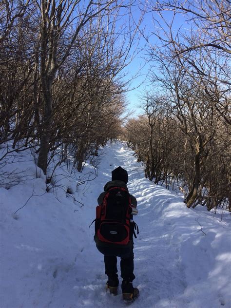 冬の九重連山☃️牧ノ戸峠から御池と中岳 九重山（久住山）・大船山・星生山の写真86枚目 樹氷も溶けました Yamap ヤマップ