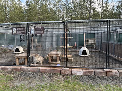 Visitors at Cat Tales Wildlife Center were stunned by this sight 22