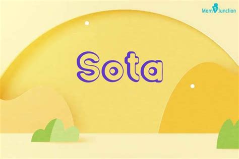 explore sota meaning origin popularity