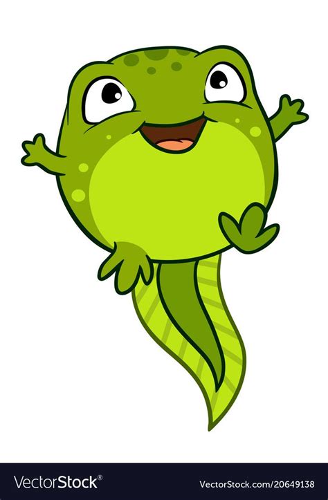 Cartoon Of Cute Happy Joyful Baby Tadpole Pollywog Vector Image On