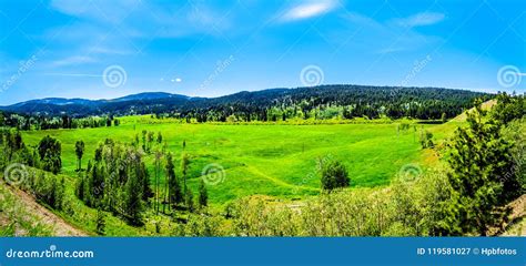 Mountains Along The Heffley Louis Creek Road In BC Canada Stock Image