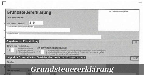 Grundsteuerreform kostenlose Grundsteuererklärung online