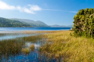 CHILOÉ NATIONAL PARK - travelArt