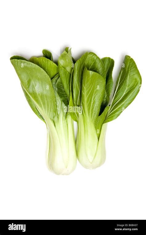 Bok Choi Or Pak Choi Chinese Cabbage Isolated On A White Studio