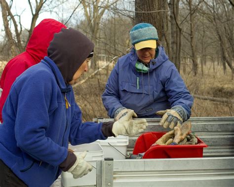 Volunteering In The Arboretum Cowling Arboretum Carleton College