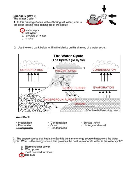 Water Cycle Worksheet S Answers