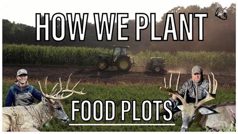 How To Plant Food Plots Our Food Plot Practices For Whitetail Youtube