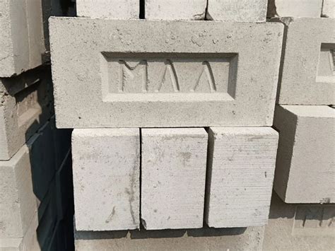 Fly Ash Brick Paver Block At Rs 8 50 Fly Ash Block In Muzaffarpur