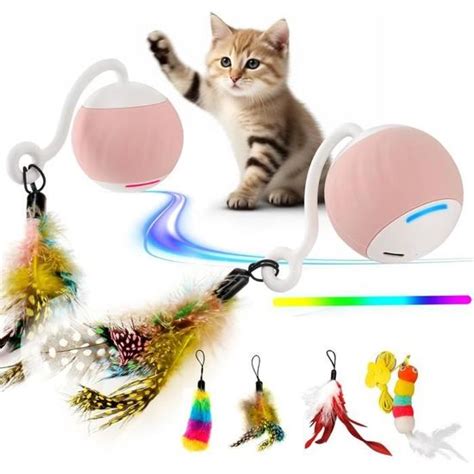 Balle Chat Boule De Jouet Pour Chat Commande Vocale Jouet Pour Chat