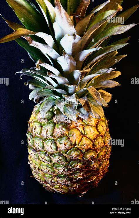 Pineapple black background Stock Photo - Alamy