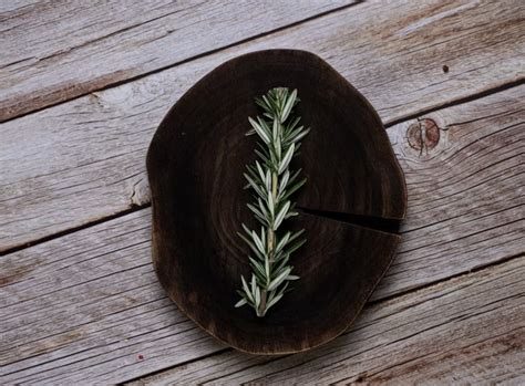 The Symbolic Meaning Of Rosemary In Spiritual Traditions