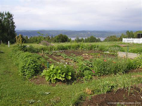 Potager au Jardin des Patriotes Jardins Québécois Privés en Photos