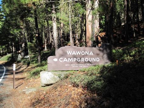 Yosemite Wawona Campground, Yosemite, United States Tourist Information