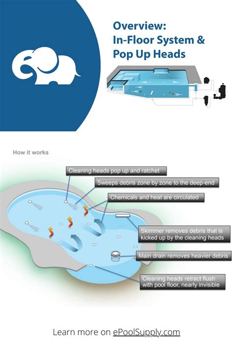 In Floor Pool Cleaning System Pros And Cons Harrison Evelyn