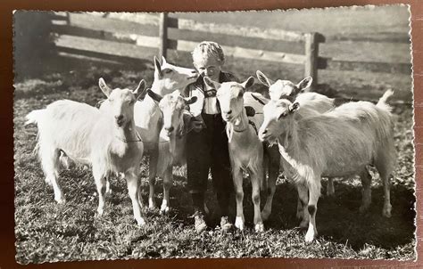 CPA Knabe mit Ziege Appenzell chèvre 1953 Kaufen auf Ricardo