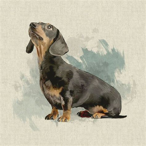 Cotton Rich Linen Look Fabric Dachshund Dog Or Panel Etsy Uk