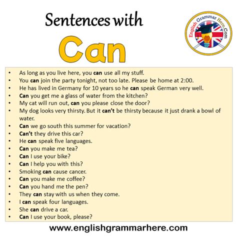 Sentences With Can 19 Sentences With Can In English English Grammar Here