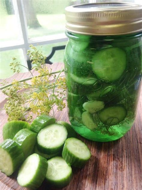 Diy Sun Pickles Recipe