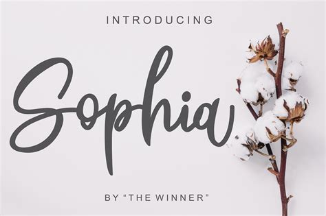 Sophia Font Download Sophia Font Free And Premium