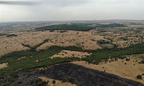 Fiamme Spente Ad Un Chilometro Da Castel Del Monte Bruciati Ettari