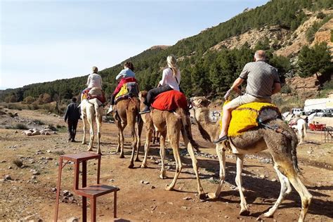 Ourika Tal Und Wasserfall Tour Ab Marrakesch Mit Mittagessen Zur