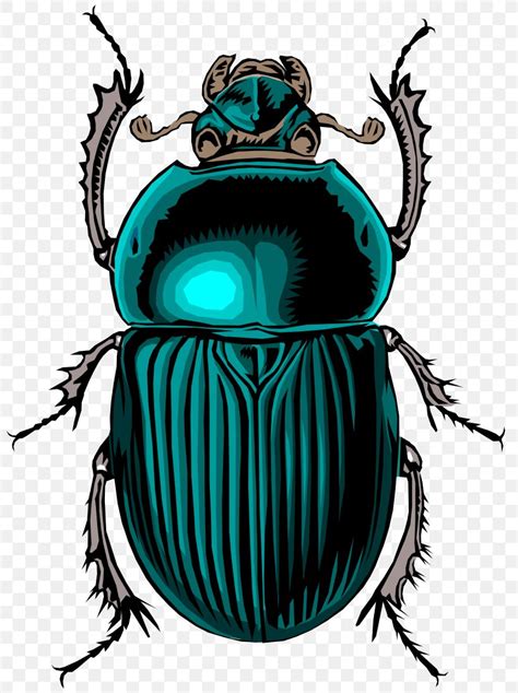 Volkswagen Beetle Dung Beetle Clip Art PNG 800x1098px Beetle