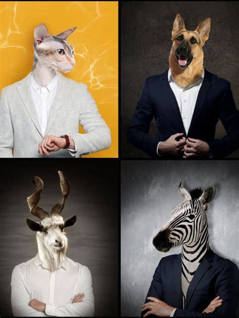 animal personality types test everyones talking