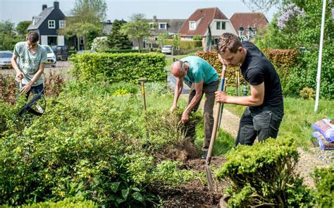 Grijze Studenten Blij Met Fusie Groene Studenten Fusie Tussen