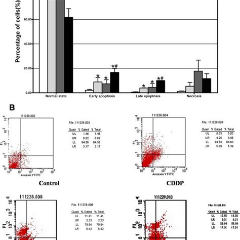 CAC1 Silencing Enhanced Cisplatin Induced Apoptosis In AGS Cell Line