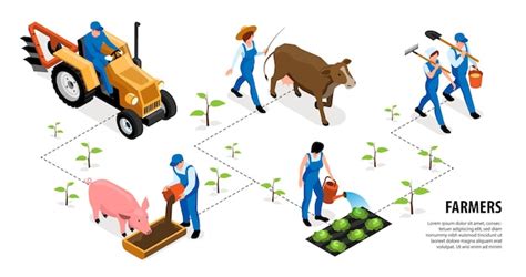 Free Vector Agricultural Machines Isometric Field Set