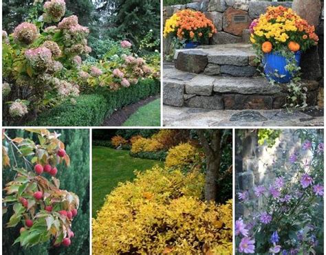 Ideas for an Alluring Autumn Garden | Garden Design