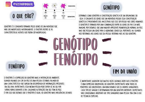 Fenotipo O Que É - Qual a diferença entre genótipo e fenótipo? - brainly.com.br