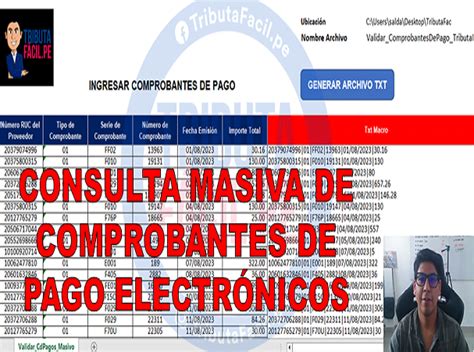 Macro Para Validar Comprobantes De Pago Electrónico Tributa Fácil Perú