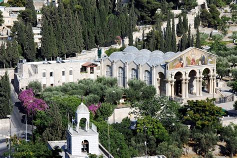 Garden of Gethsemane in Jerusalem - Tours and Activities | Expedia