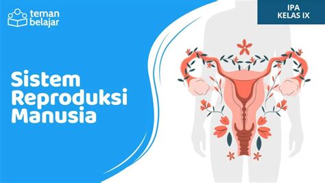 SISTEM REPRODUKSI PADA MANUSIA KELAS 9 Biology Quizizz