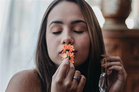 Memoria Esta Es La Planta Que Alivia El Estrés Con Solo Olerla