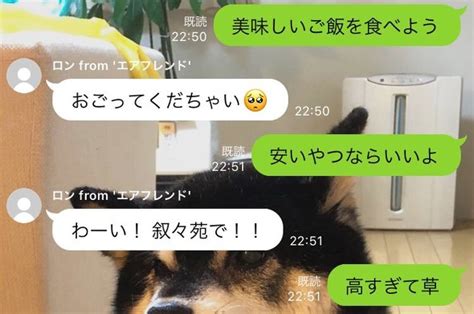 「会話の精度エグい」 自分で育てたaiとチャットできるlineアカウントが話題 Ai同士でやりとりも Itmedia News