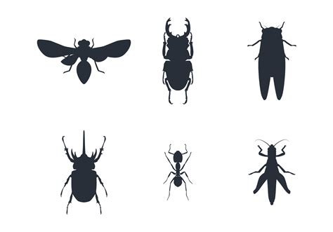 Bugs Svg Silhouette Bugs Insects Insect Clipart Cartoon Bugs By The